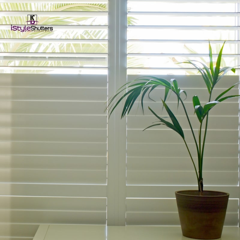 Interior view of plantation shutters with sunlight filtering through, beside a green potted plant in Sydney home.