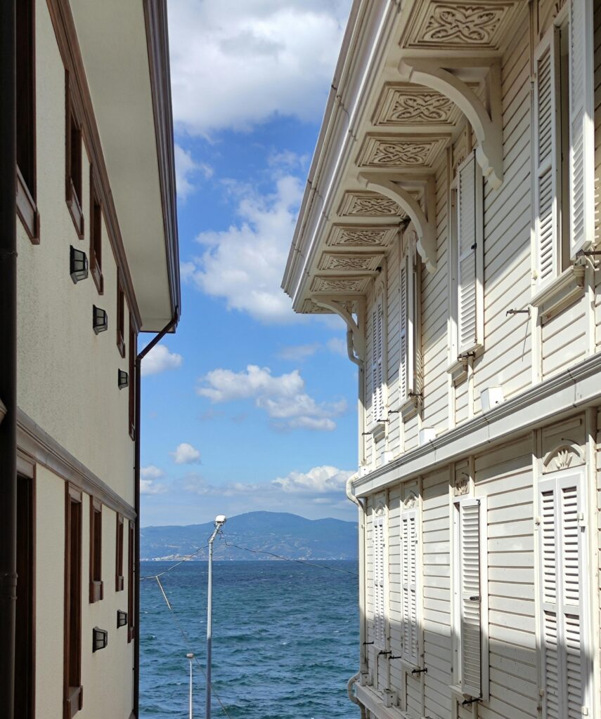 What Shutters Are Best for Coastal Homes in Sydney?